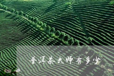 普洱茶大师有多少/2023041202705