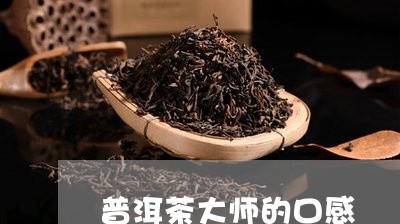 普洱茶大师的口感/2023041070494