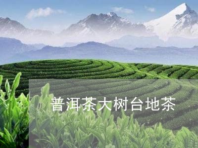 普洱茶大树台地茶/2023041218362