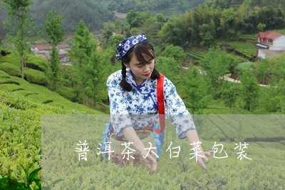 普洱茶大白菜包装/2023031618364