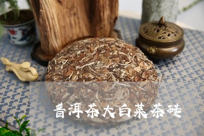 普洱茶大白菜茶砖/2023040115926