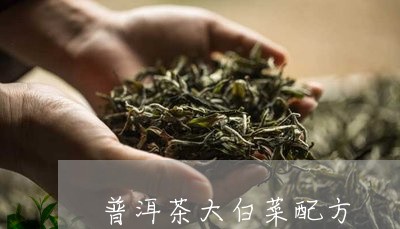 普洱茶大白菜配方/2023040162713