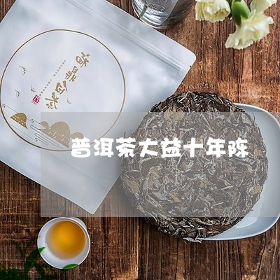 普洱茶大益十年陈/2023031761623