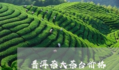 普洱茶大茶台价格/2023031617269