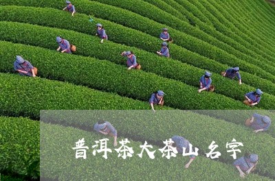 普洱茶大茶山名字/2023031660615