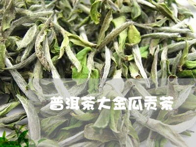 普洱茶大金瓜贡茶/2023041161715