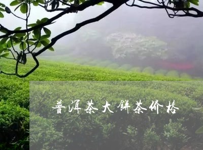 普洱茶大饼茶价格/2023041054259