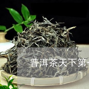 普洱茶天下第一村/2023033098494