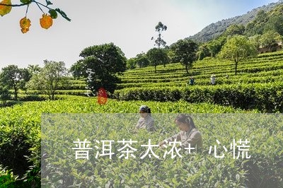 普洱茶太浓+心慌/2023041039492