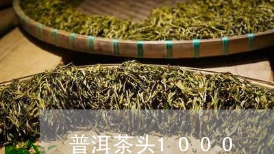 普洱茶头1000/2023041034305