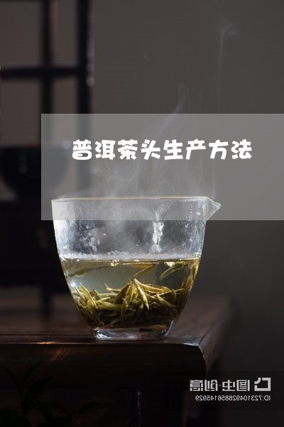 普洱茶头生产方法/2023031714037