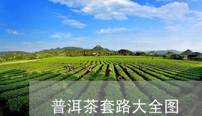 普洱茶套路大全图/2023031780714