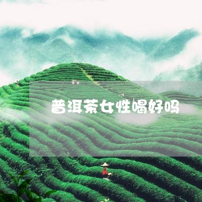 普洱茶女性喝好吗/2023031857181