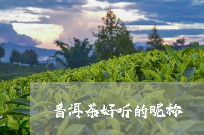 普洱茶好听的昵称/2023031739582