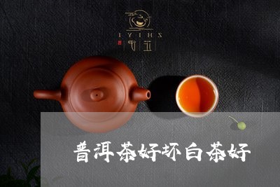 普洱茶好坏白茶好/2023040943837