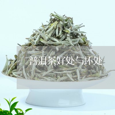 普洱茶好处与坏处/2023041328058