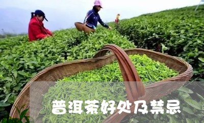 普洱茶好处及禁忌/2023040912603