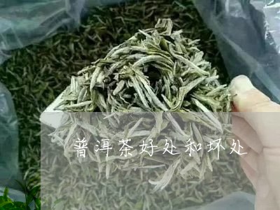 普洱茶好处和坏处/2023031747260