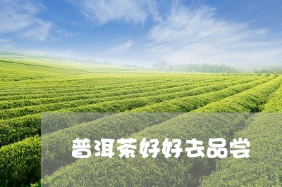 普洱茶好好去品尝/2023041080506