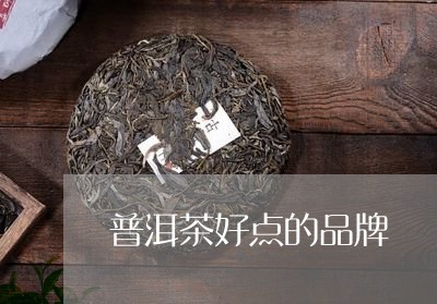 普洱茶好点的品牌/2023041319282