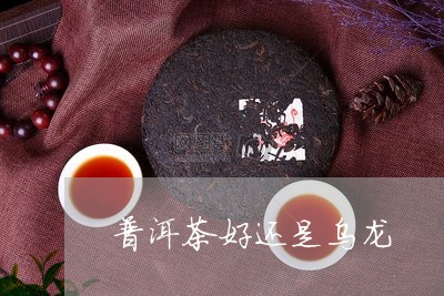 普洱茶好还是乌龙/2023041242824