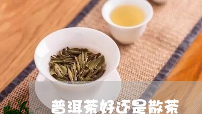 普洱茶好还是散茶/2023041119636