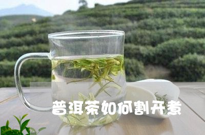 普洱茶如何割开煮/2023041493735