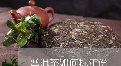 普洱茶如何标年份/2023041000493