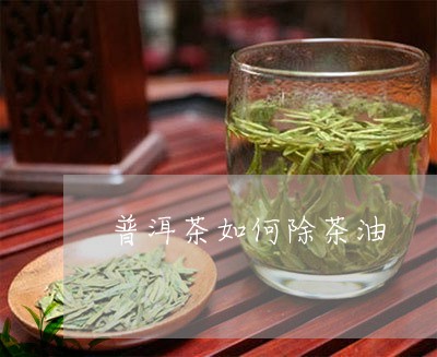 普洱茶如何除茶油/2023040900693