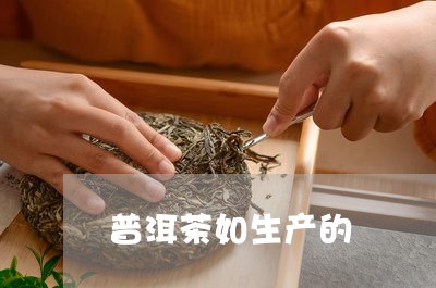 普洱茶如生产的/2023031766370