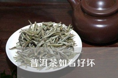 普洱茶如看好坏/2023031806159