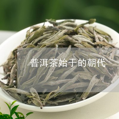 普洱茶始于的朝代/2023041015483