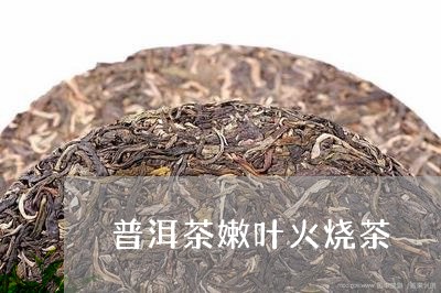 普洱茶嫩叶火烧茶/2023031693836