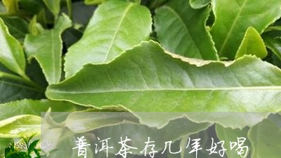 普洱茶存几年好喝/2023031860793