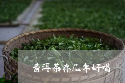 普洱茶存几年好喝/2023041387040