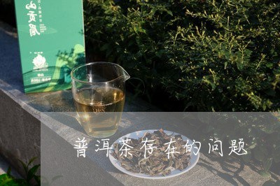 普洱茶存在的问题/2023031883936