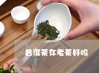 普洱茶存老茶好吗/2023031586360