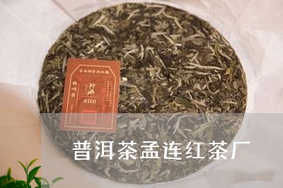 普洱茶孟连红茶厂/2023040924030