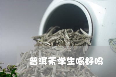 普洱茶学生喝好吗/2023041358380