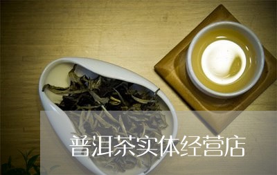 普洱茶实体经营店/2023031713936