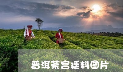 普洱茶宫廷料图片/2023040928194