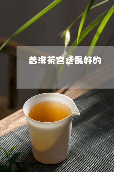 普洱茶宫廷最好的/2023041130613