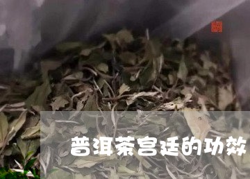 普洱茶宫廷的功效/2023041072582