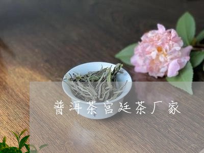 普洱茶宫廷茶厂家/2023031696259