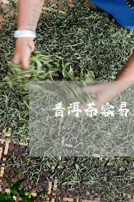 普洱茶容易上火吗/2023041206149