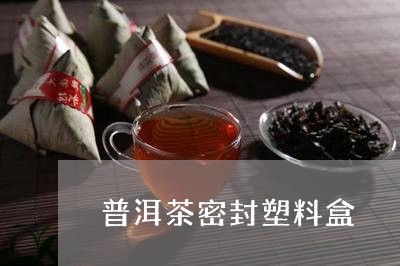 普洱茶密封塑料盒/2023031642925