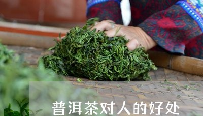 普洱茶对人的好处/2023041403038