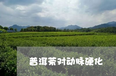 普洱茶对动脉硬化/2023031779494