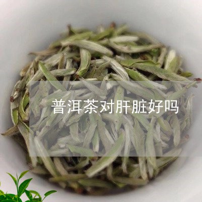 普洱茶对肝脏好吗/2023031760691