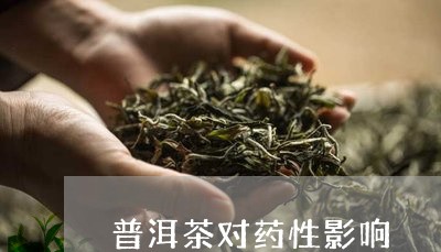 普洱茶对药性影响/2023041047058